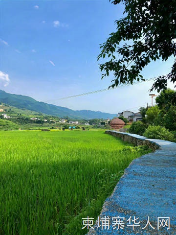 农村还有没有这样的风景？